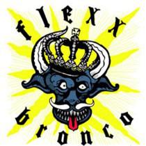 Flexx Bronco - same