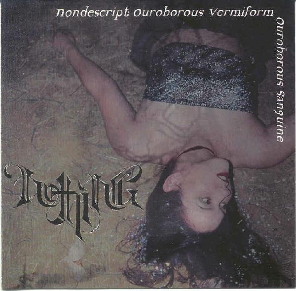 Nothing - Nondescript