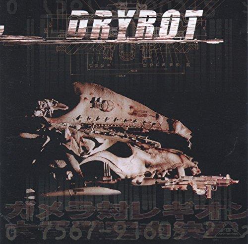 Dryrot - same