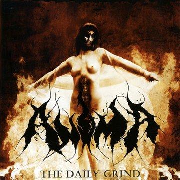 Anima - The Daily Grind
