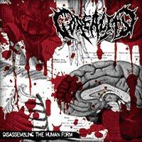 Clitorture / Goreality - Disassembling The Human Form