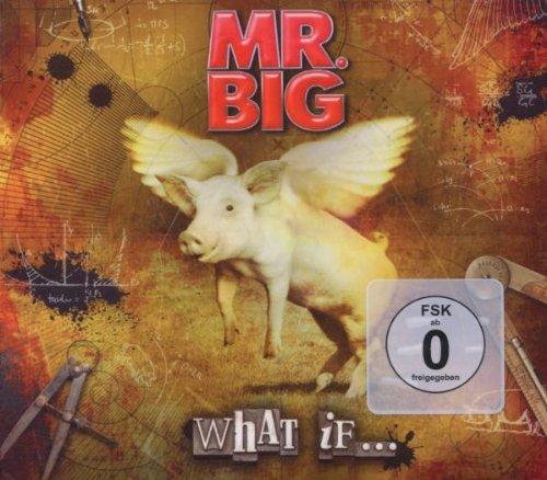 Mr. Big - What If...