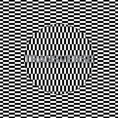 Carter Tutti Void - Transverse