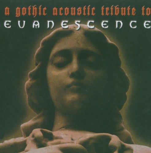 Evanescence Tribute - A Gothic Acoustic