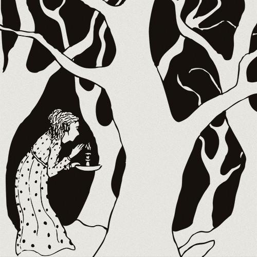 Shadow Band - Wilderness Of Love gatefold