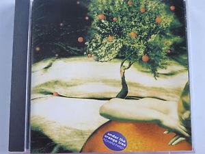 Pardy, Richard - Under the Orange Tree