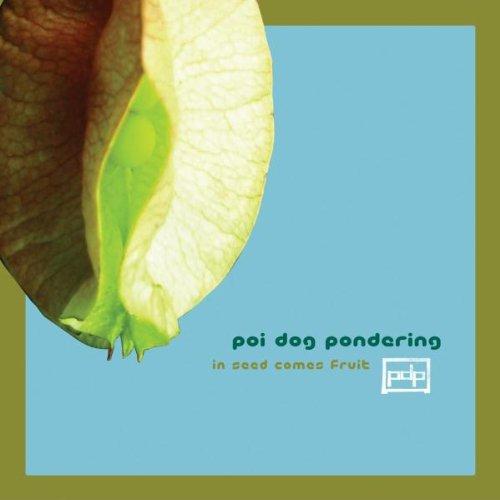 Poi Dog Pondering - In Seed Comes Fruit