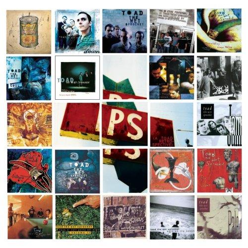 Toad the Wet Sprocket - P.S. (A Toad Retrospective)