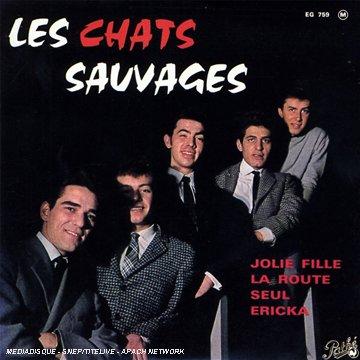 Chats Sauvages - Jolie Fille-la Route