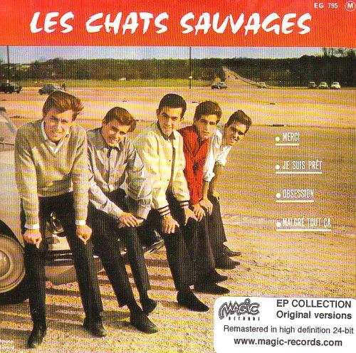 Chats Sauvages - Merci-Obsessions