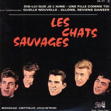 Chats Sauvages - Quelle Nouvelle