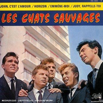 Chats Sauvages - John C Est l Amour