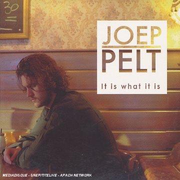 Pelt, Joep - It Is What It Is BAD REPUTATION RECORDS