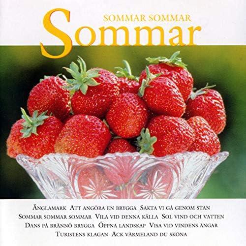 VA - Sommar GITTE LITTWOLD TIBBLEKÖREN