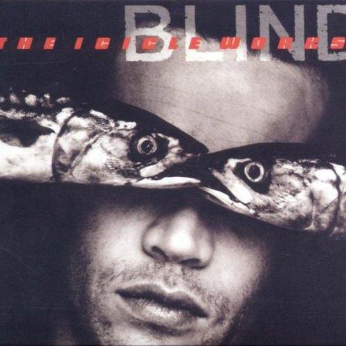 Icicle Works, the - Blind LTD.ED. OASIS THE WILD SWANS