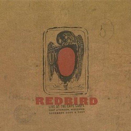 Redbird (Delmhorst, Foucault, Mulvey) - Live at the Cafe Carpe