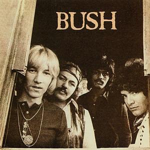 Bush - Bush