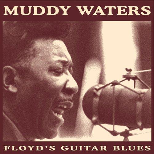 Waters, Muddy - Floyd's Guitar Blues