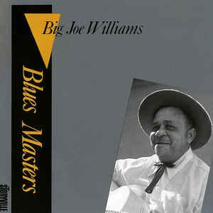 Big Joe Williams - Blues Masters Vol.2