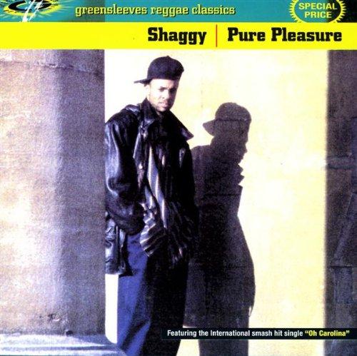 Shaggy - Pure Pleasure RAYVON GREENSLEEVES