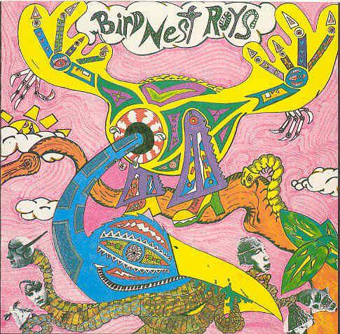 Bird Nest Roys - 1st Album