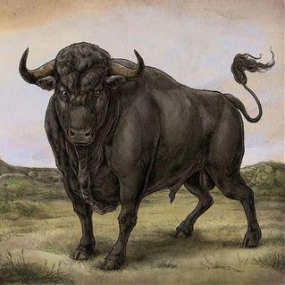 Fermin, San - San Fermin