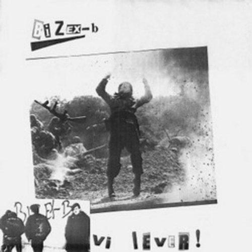 Bizex-B - En valdtäkt i vinyl