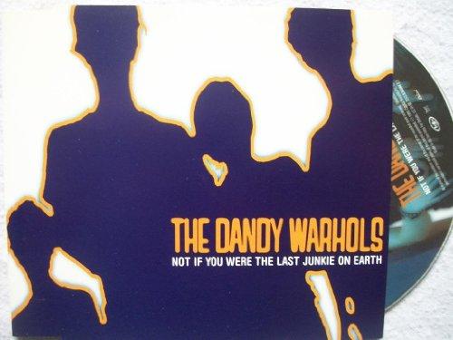 Dandy Warhols - Not If You Were The Last Junkie On Earth