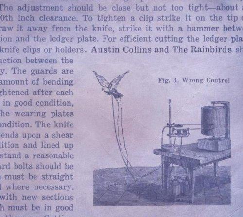 Collins, Austin & The Rainbirds - Wrong Control