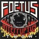 Foetus Interruptus - Thaw