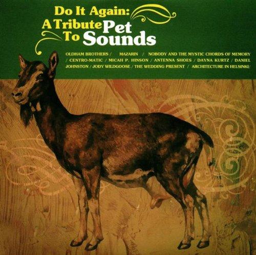 Beach Boys Tribute - Do It Again Pet Sounds VIC CHESNUTT