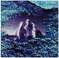 Lucidnation - American Stonehenge