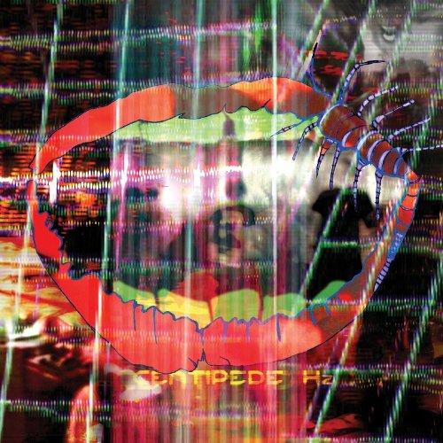 Animal Collective - Centipede Hz LIMITED EDITION