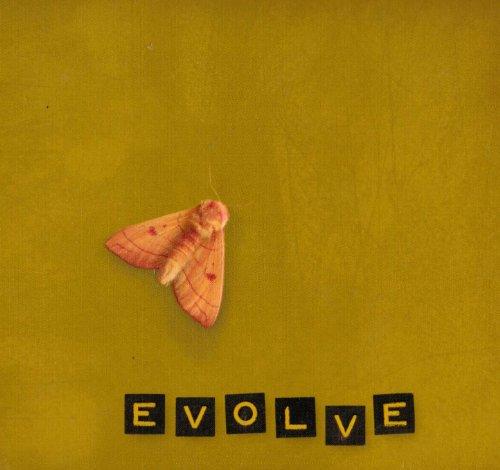 Difranco Ani - Evolve