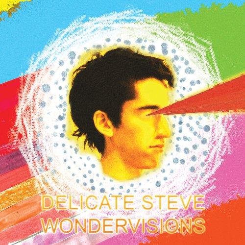 Delicate Steve - Wondervisions LUAKA BOP RECORDS