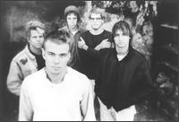 Samples, The - Still Water