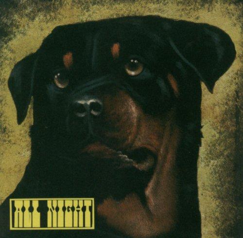 All Night - same RED FANG TEE PEE RECORDS