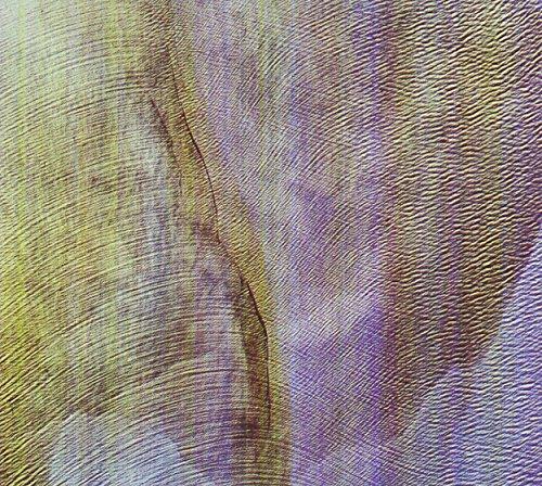 Akron/Family - Sub Verses