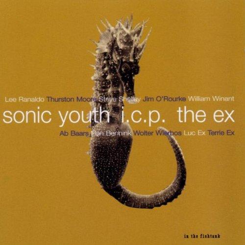 Sonic Youth I.C.P. The Ex - In The Fishtank RANALDO, MOORE