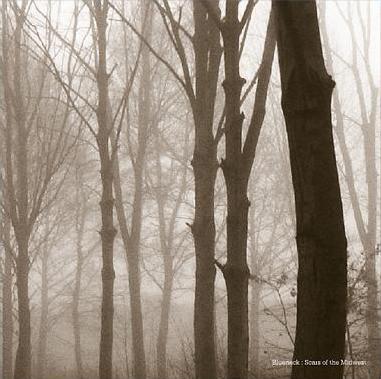 Blueneck - Scars Of The Midwest + Mp3