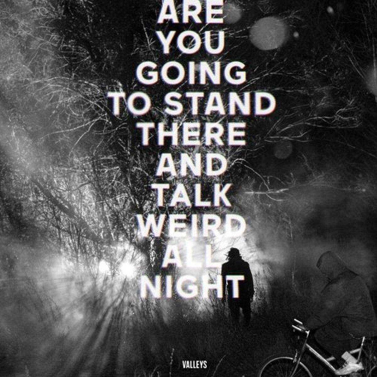 Valleys - Are You Going To Stand There & Talk Weird All Night ? Clear Vinyl Gatefold + MP3
