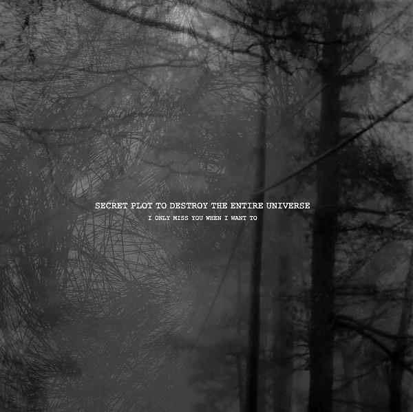Secret Plot To Destroy Entire - I Only Miss You When I Want To