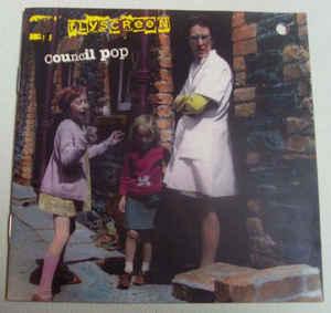 Flyscreen - Council Pop