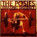Posies, the - Amazing Disgrace