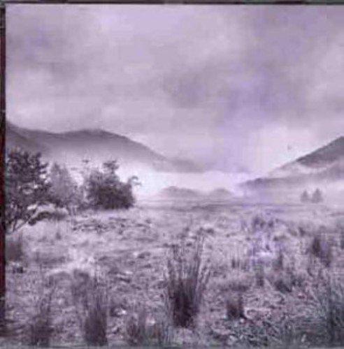 Apes Pigs & Spacemen - Snapshot