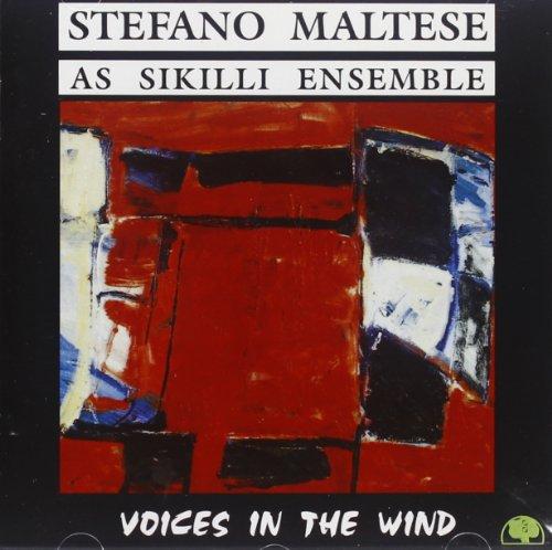 Maltese, Stefano - Voices in the Wind (Roy Paci)