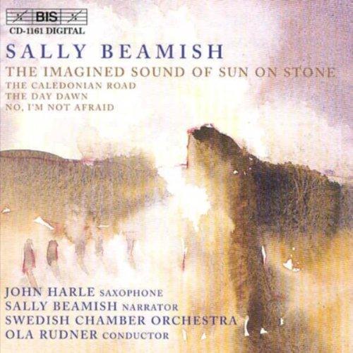 Beamish / Rudner - The Imagined Sound Of Sun On Stone