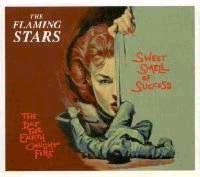 Flaming Stars, the - The Day the Earth caught Fire