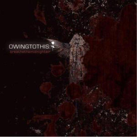 Owing To This - Breathe the Midnight Air