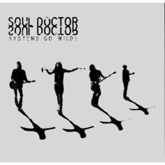 Soul Doctor - Systems go wild!
